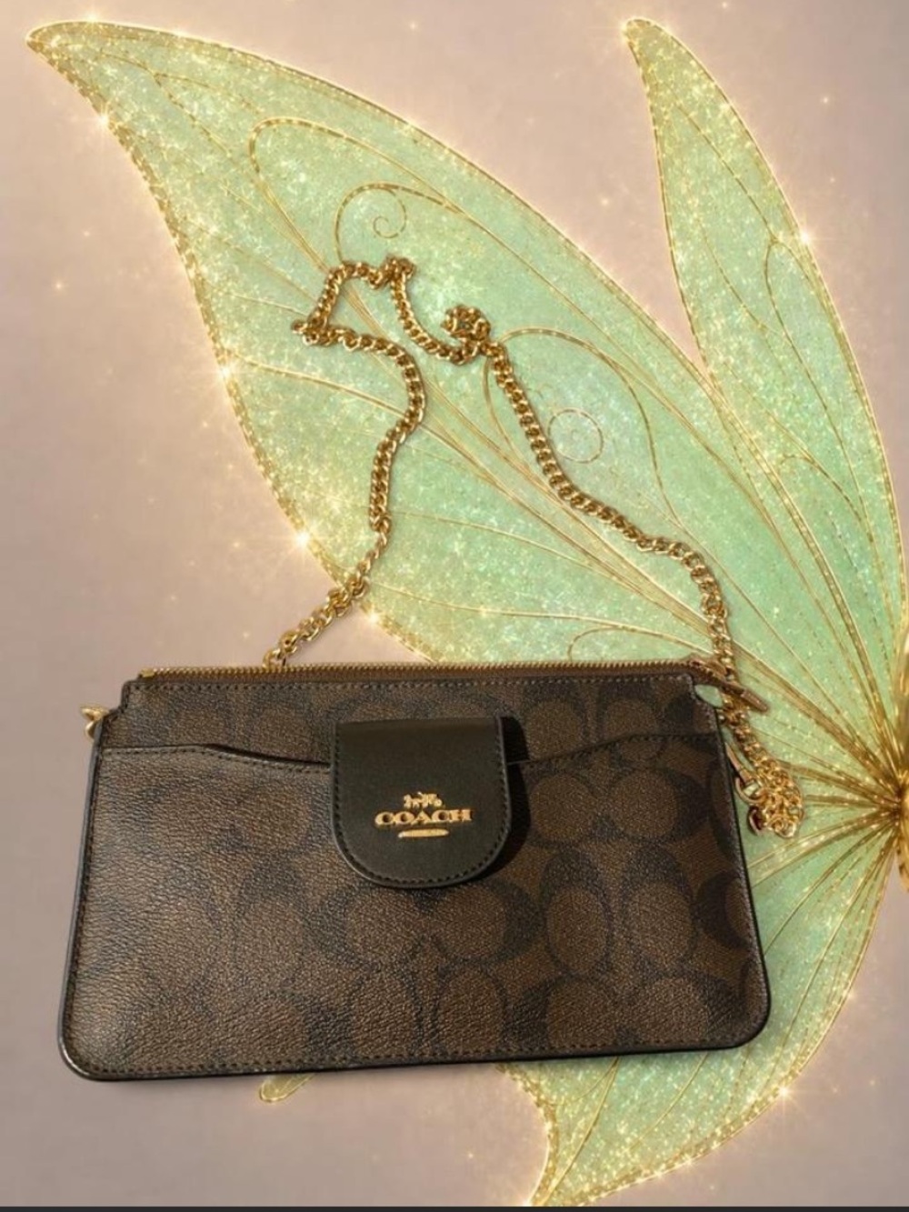 COACH Dark Brown Signature Crossbody with Gold Chain